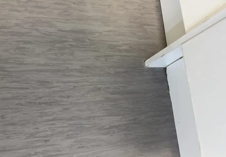Vinyl Subfloor Repair — Massey completed project