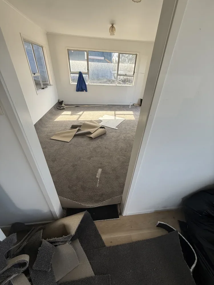 Residential Carpet Installation — Whenuapai — Cutting and fitting in progress