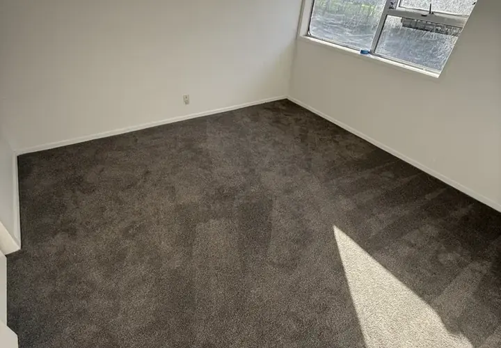 Residential Carpet Installation — Whenuapai completed project